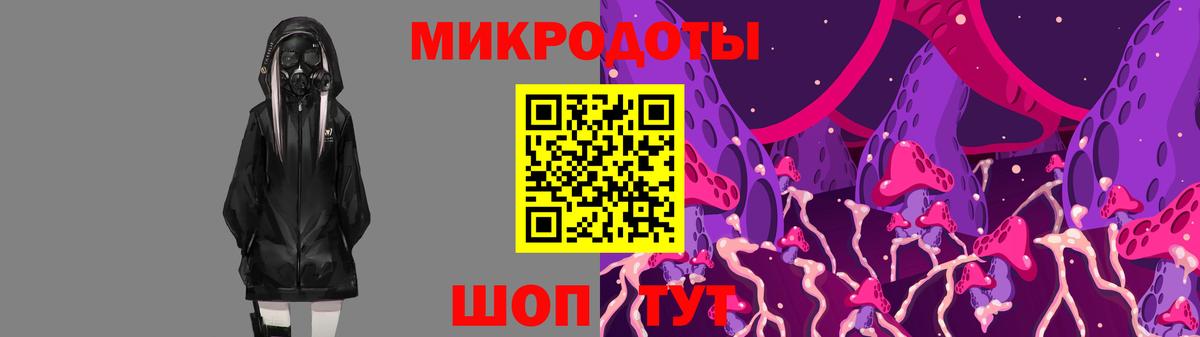 Псилоцибиновые грибы GOLDEN TEACHER Александров