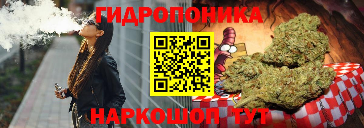 Бошки Шишки индика  Вход с VPN  Александров  Каннабис Amnesia  МАРИХУАНА план 